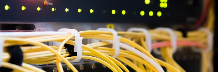Kenali Fungsi dan Jenis Kabel LAN untuk Dukung Internetan Lancar
